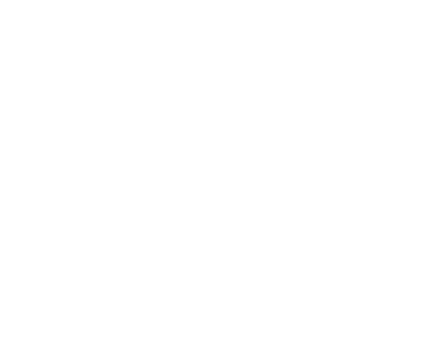 Der aus dem Rheinland stammende Tenor Dirk Schmitz studierte zunächst Geographie und Theologie bevor er  bedingt durch eine rege Tätigkeit als Chorist der Bamberger Symphoniker und des Süddeutschen Vokalensembles 1997 ein Gesangsstudium an der Musikhochschule Köln begann. 

Nach mehreren Meisterkursen u.a. bei Prof. Kurt Moll wurde er 1999 Mitglied des Internationalen Opernstudios der Hamburgischen Staatsoper. 

Während seines Folgeengagement in Hamburg debütierte er an der Staatsoper unter anderem mit Partien wie Alfred (die Fledermaus), Marquis de Chateauneuf (Zar und Zimmermann), Monostatos (Die Zauberflöte), Don Basilio (Le nozze di Figaro), Remendado (Carmen) und vielen mehr. 

Verschiedene Gastengagements führten ihn u.a. nach Bremen, Lübeck, Mannheim, Solingen, Remscheid und diversen Festspielen wie z.B. Eutin. 

Außerdem verkörperte er u.a. Rollen wie Tamino (Die Zauberflöte), Pedrillo (Die Entführung aus dem Serail), Hans (Die verkaufte Braut), Erwin (Die Csárdásfürstin) und den Lenski (Eugen Onegin). 
Des Weiteren ist Dirk Schmitz ein gefragter Konzertsänger und verfügt über ein weit  reichendes Repertoire. 